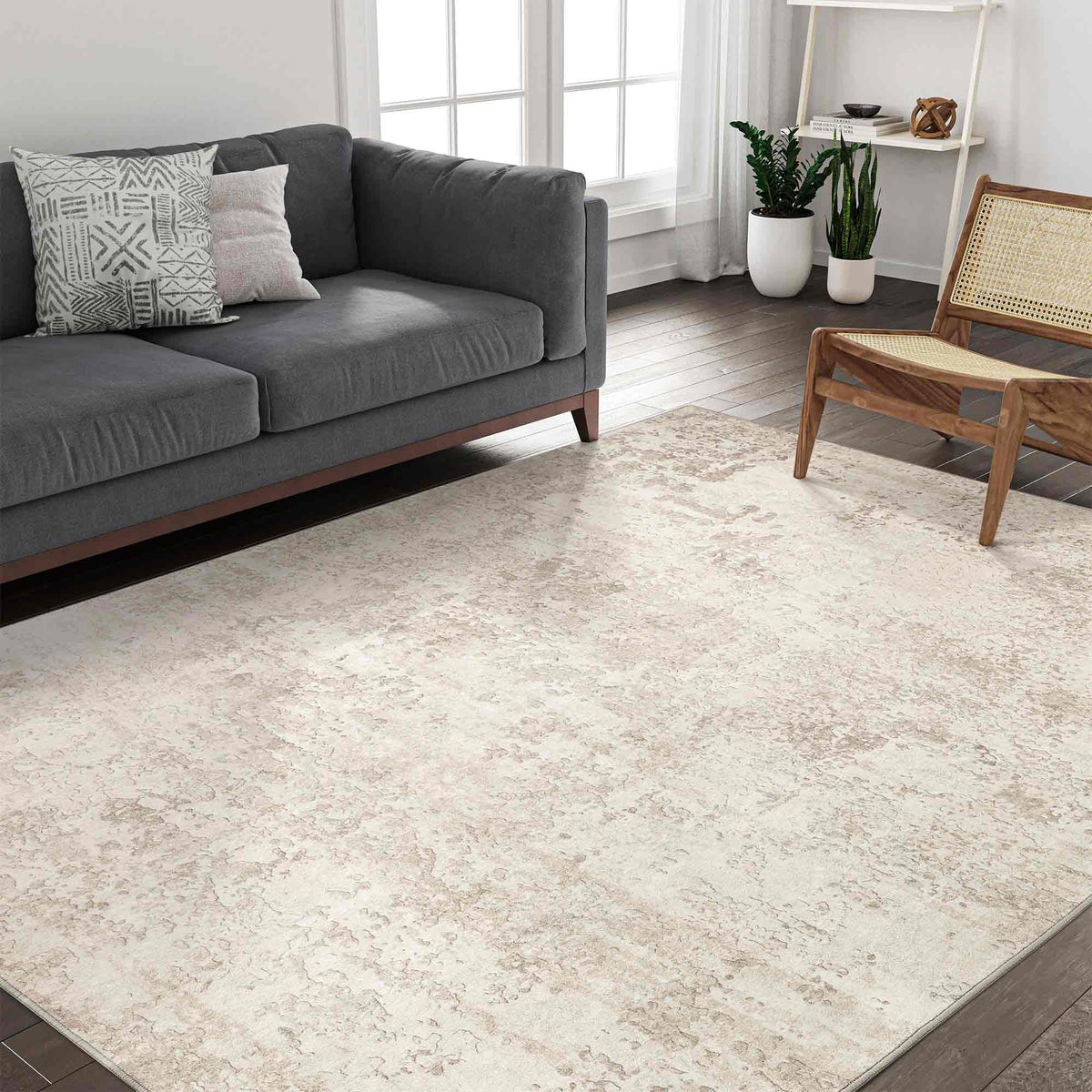 Beige Area Rugs 8x10
